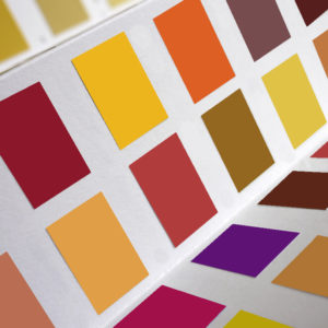 Bold, warm hues